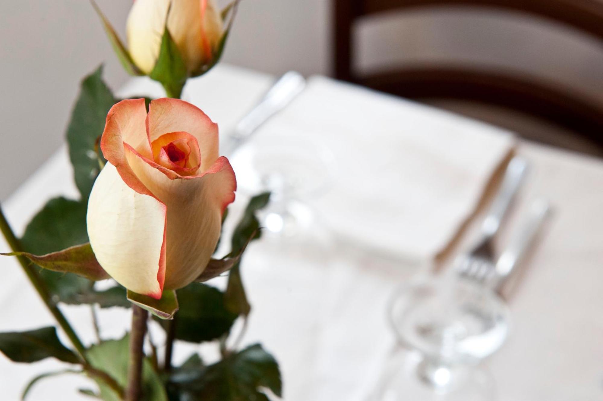 Hotel 4 Pini Rom Eksteriør billede